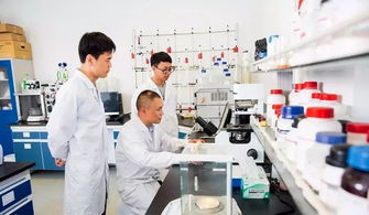 中國制造業第一縣聚力互聯網銷售轉型，新華日報頭版頭條聚焦產業升級新篇章